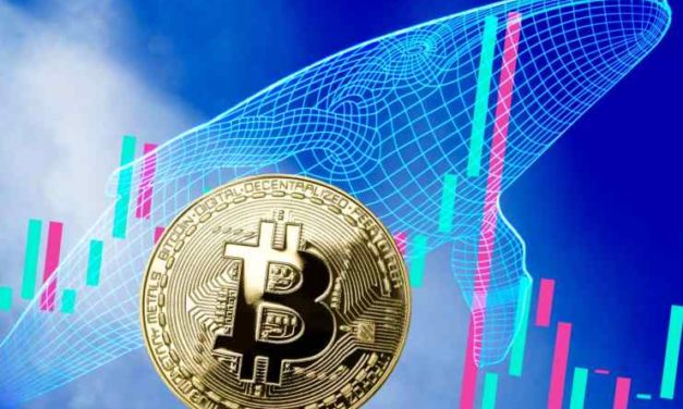 Veľké bitcoinové adresy držiace vyše 1 000 BTC prudko akumulujú