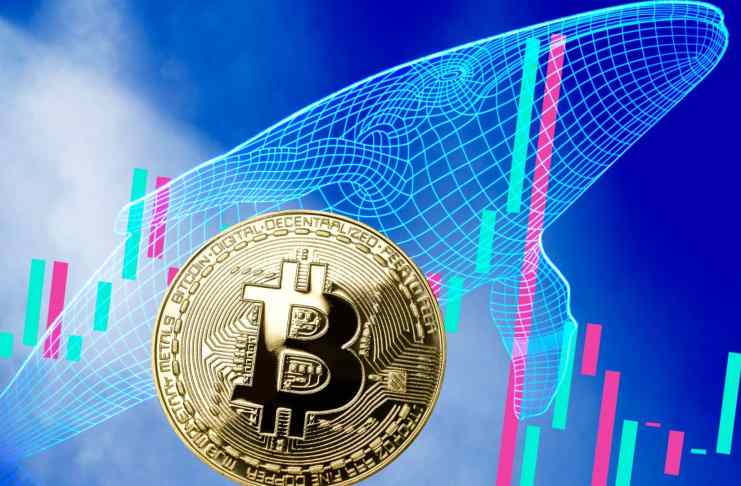 Veľké bitcoinové adresy držiace vyše 1 000 BTC prudko akumulujú