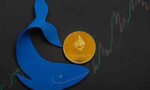 10 najväčších ethereových peňaženiek už drží 23,7 % celkovej ponuky ETH