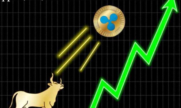 XRP vystrelil o 20 % po pozitívnej správe – zvíťazí Ripple v súdnom spore?