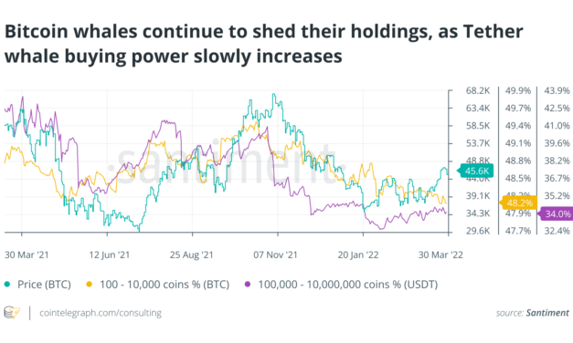 Crypto prices enjoy a solid March relief rally. But, how and why?