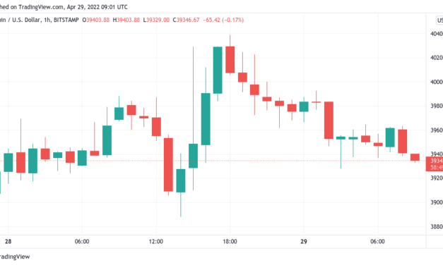 Bitcoin price slow to react as US dollar rally stops at 20-year highs