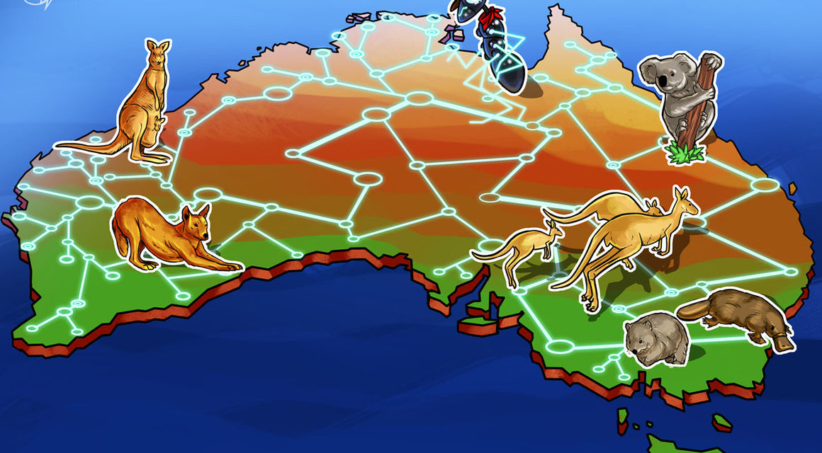 ‘7 words is not a crypto policy': Aussie opposition under fire as election looms