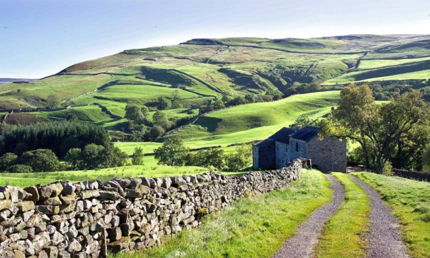 Home sweet hodl: How a Bitcoiner used BTC to buy his mom a house