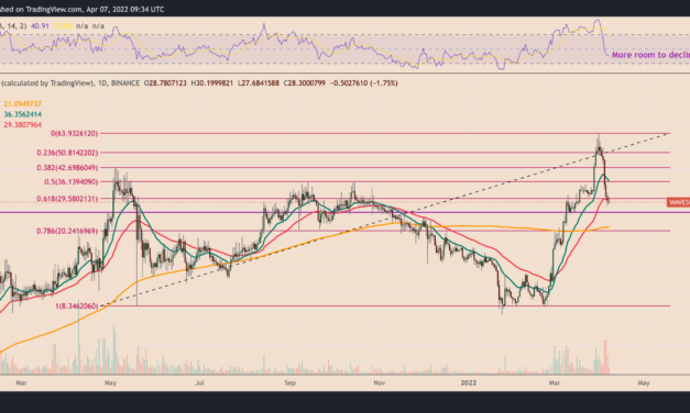 WAVES price crashes 50% in one week — watch these support levels next