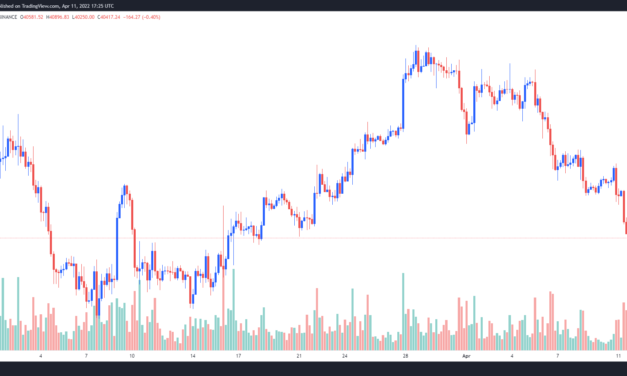 Bitcoin price dip to $39.2K places BTC back in 'bear market' territory