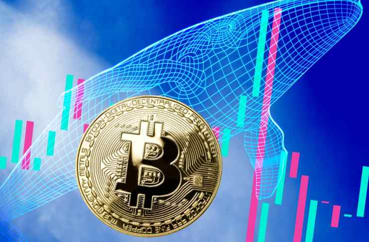 Bitcoin je vo fáze ťažkej akumulácie – veľryby hodlujú viac ako 280 000 000 000 $ v BTC
