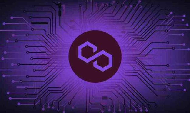 Coin Bureau na adresu Polygonu:  „Projekt 2-vrstvy môže byť čoskoro potrebný viac ako kedykoľvek predtým“