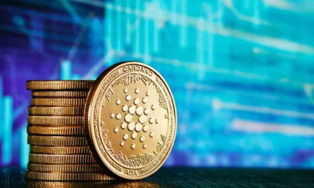 Cardano má pod sebou už viac ako 1000 projektov – masívna aktivita pokračuje