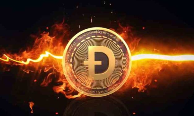 Dogecoin je najviac vyhľadávanou kryptomenou v Amerike