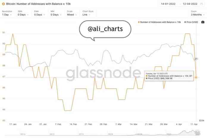 Graf analytika Martineza