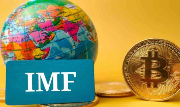 Strach z absencie kontroly nad financiami sa zvyšuje! – MMF má obavy z „kryptoizácie“!