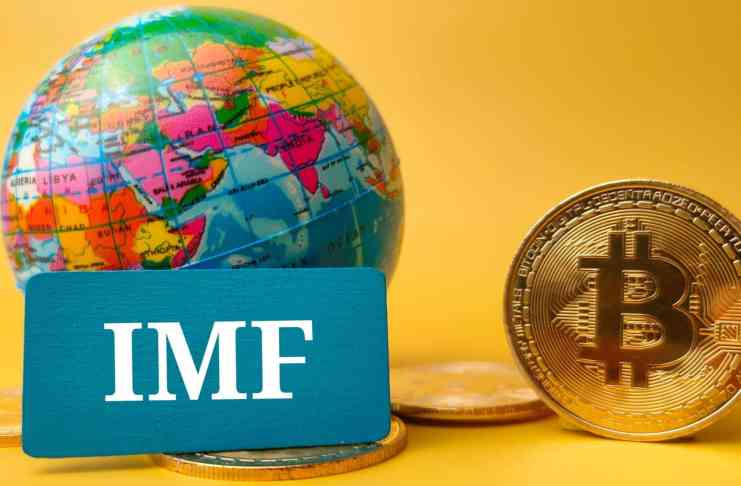 Strach z absencie kontroly nad financiami sa zvyšuje! – MMF má obavy z „kryptoizácie“!