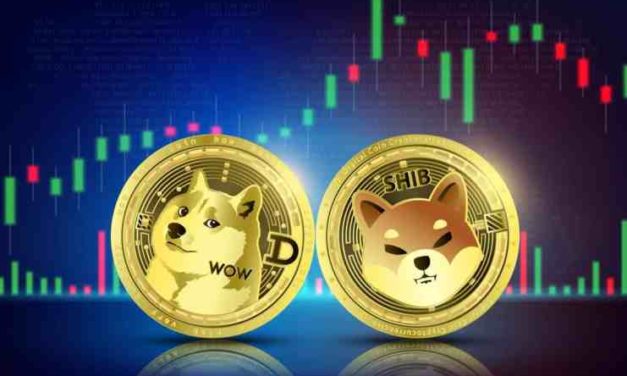 Zažijú psie meme coiny SHIB a DOGE ešte niekedy cenový bullrun?