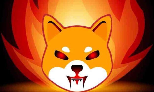 Spaľovanie SHIB vyrástlo o 26 000 %! – Developeri zo Shiba Inu pracujú na novinkách!