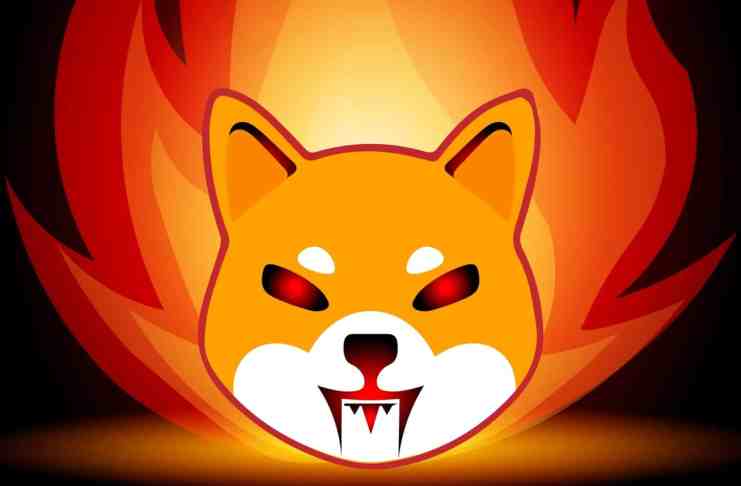 Spaľovanie SHIB vyrástlo o 26 000 %! – Developeri zo Shiba Inu pracujú na novinkách!