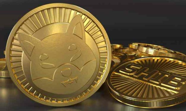 Shiba Inu oznámila spustenie metaverza – ako reagoval token SHIB?