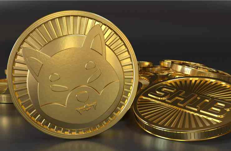 Shiba Inu oznámila spustenie metaverza – ako reagoval token SHIB?
