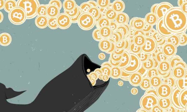 Táto veľryba kupuje BTC za 1 mil. dolárov každý deň bez ohľadu na cenu