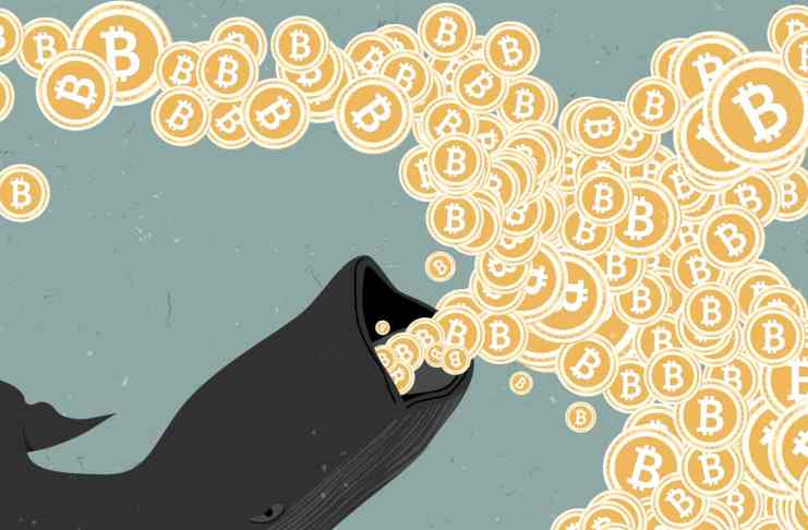 Táto veľryba kupuje BTC za 1 mil. dolárov každý deň bez ohľadu na cenu