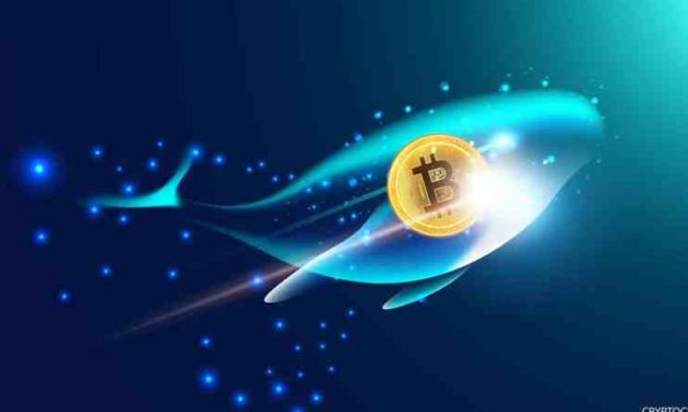 16 bitcoinových veľrýb minulý týždeň predávalo Bitcoin – ovplyvní to cenu?