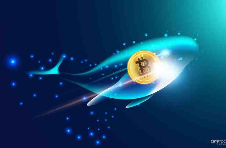 16 bitcoinových veľrýb minulý týždeň predávalo Bitcoin – ovplyvní to cenu?