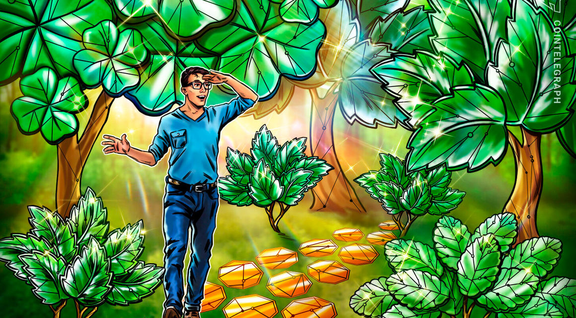 Environmental groups urge US government to take action on crypto miners