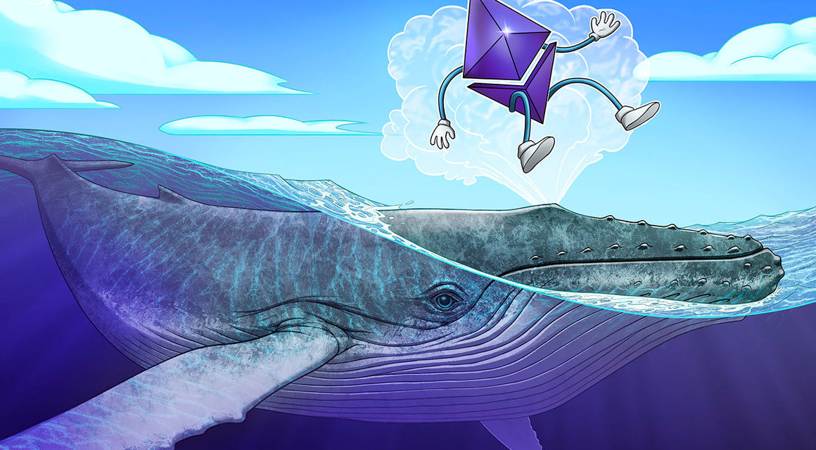 Ethereum whales get busy as transactions hit highest point since January