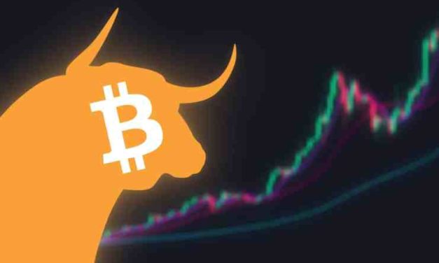 Riaditeľ PolySign – kryptomenový trh sa nepochybne vráti do býčieho trendu v druhej polovici roku 2022!