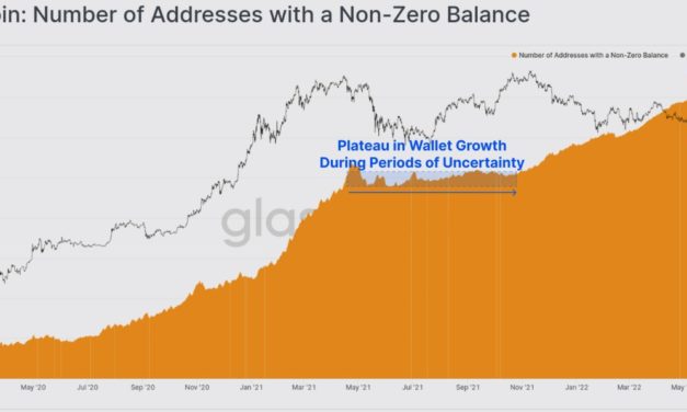 On-chain data shows Bitcoin long-term holders continuing to ‘soak up supply’ around $30K