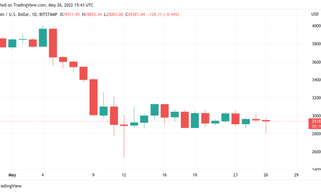 Bitcoin 'good to go up' after BTC price hits lowest since Terra crash