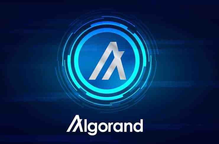 Perspektívny Algorand vypumpoval o 40 % – projektu sa podarila exkluzívna spolupráca!