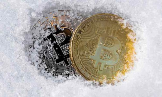 „Krypto zima je tu a môže trvať viac ako rok“ – zakladateľka blockchainového fondu očakáva ďalší pokles