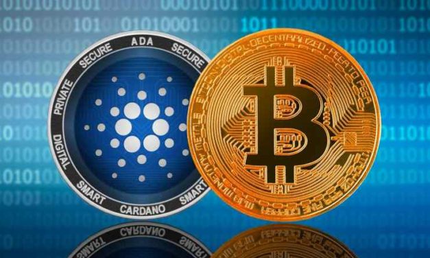 Hoskinson: „Aktivita siete Cardano je na druhom mieste hneď za Bitcoinom“