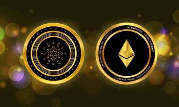 Ekosystém Cardano má v percentuálnom vyjadrení 4-krát viac aktívnych používateľov ako Ethereum