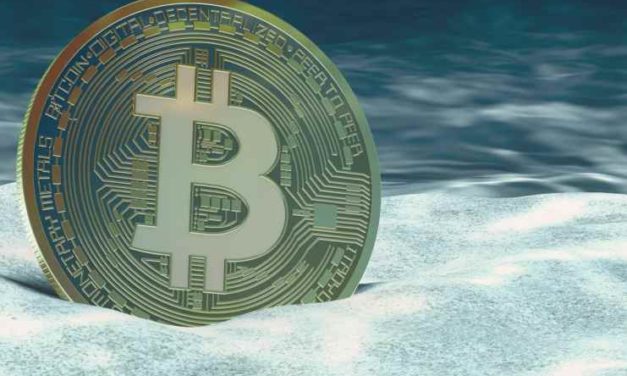 Podľa tohto indikátora Bitcoin stále nedosiahol dno