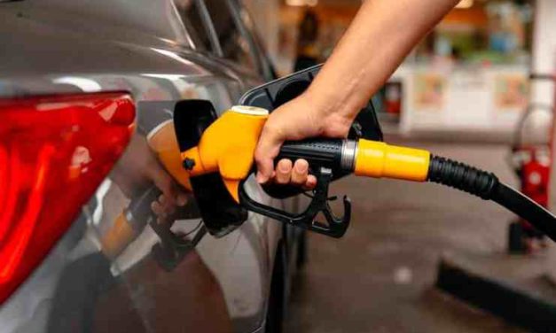 Graf na dnes: benzín a nafta opäť zdraželi