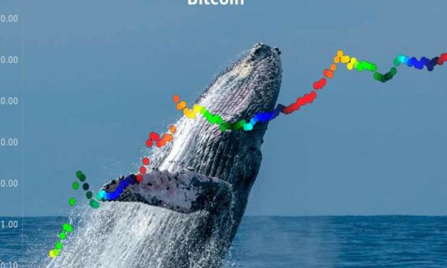 Populárny analytik PlanB čelí kritike za agresívne a hlúpe predikcie
