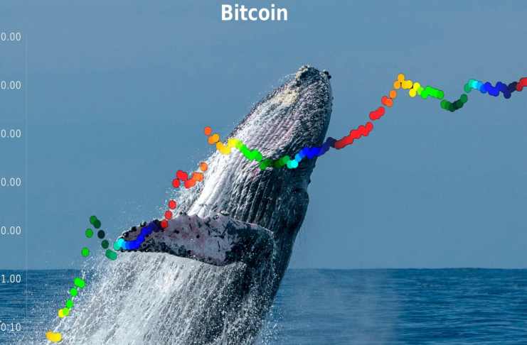 Populárny analytik PlanB čelí kritike za agresívne a hlúpe predikcie