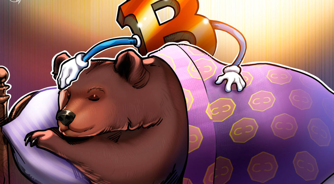 ‘Builders rejoice’: Experts on why bear markets are good for Bitcoin