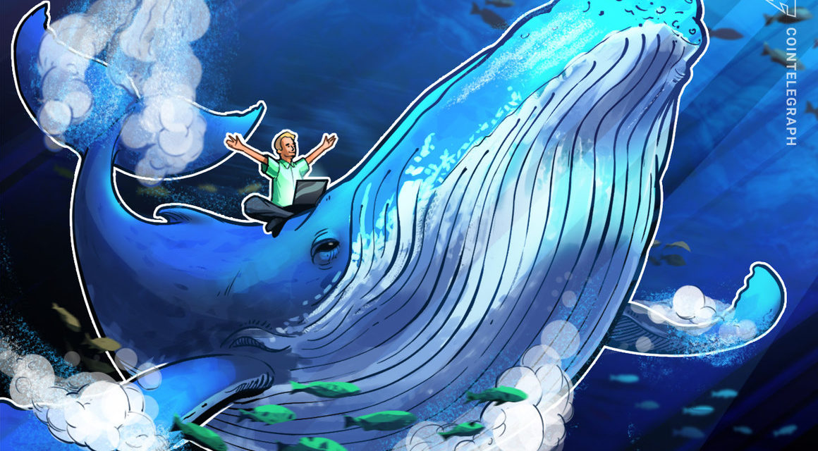 Solend invalidates Solana whale wallet takeover plan with second governance vote