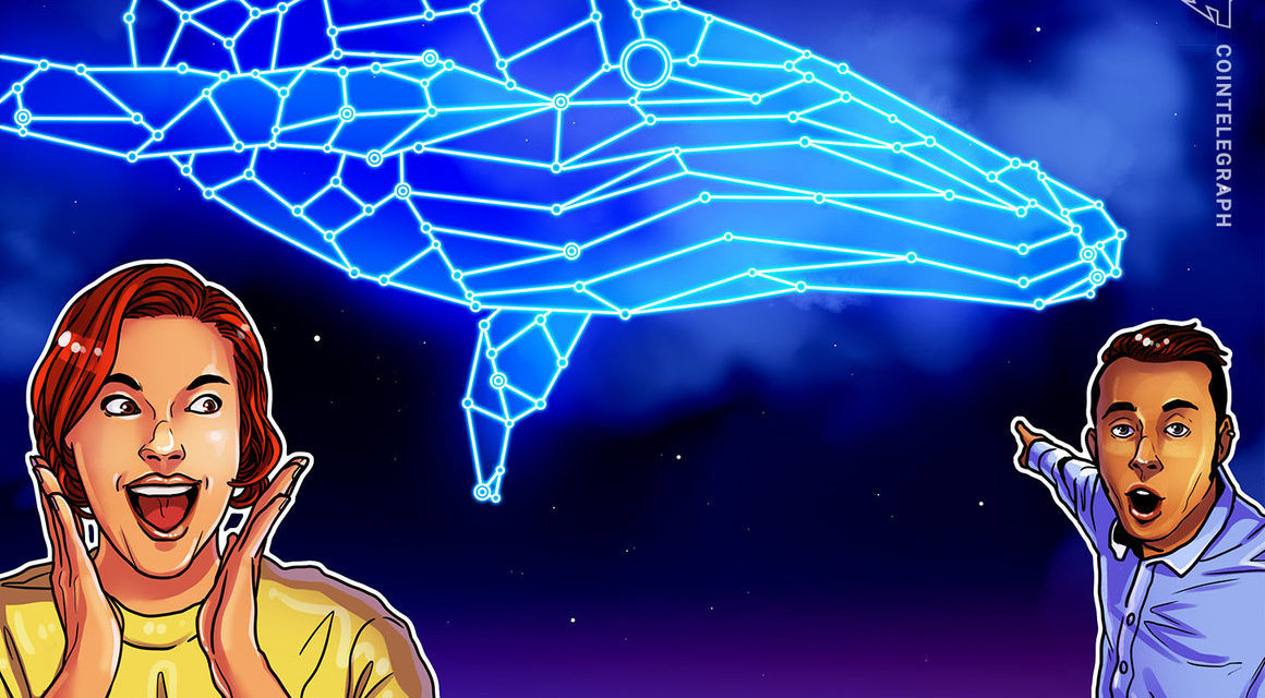 What decentralization? Solend approves whale wallet takeover to avoid DeFi implosion
