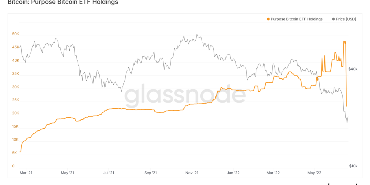 More 'forced selling' ahead? Purpose Bitcoin ETF holdings plunge by 51% in biggest outflow ever