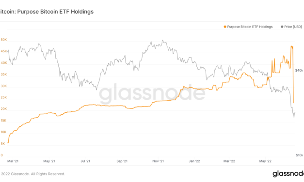 More 'forced selling' ahead? Purpose Bitcoin ETF holdings plunge by 51% in biggest outflow ever