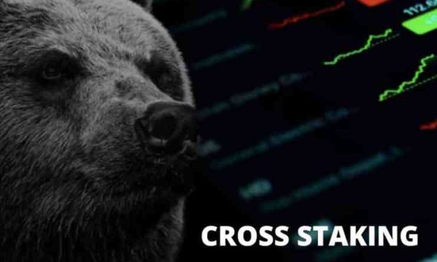 Cross Staking chráni kryptoinvestorov pred medvedím trhom