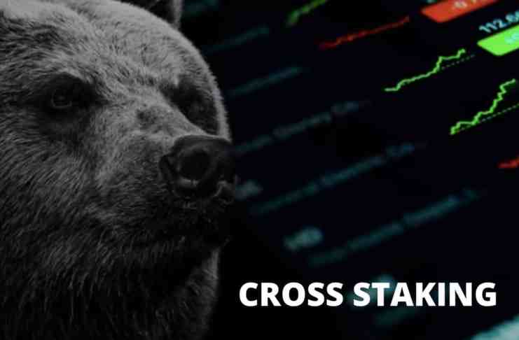 Cross Staking chráni kryptoinvestorov pred medvedím trhom