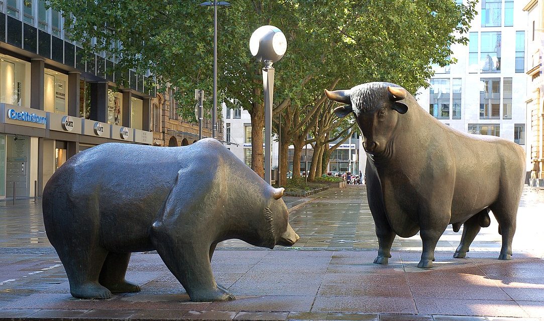 How to survive in a bear market? Tips for beginners
