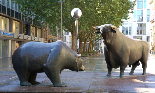 How to survive in a bear market? Tips for beginners