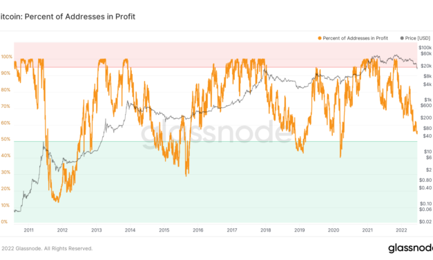 That’s not hodling! Over 50% of Bitcoin addresses still in profit