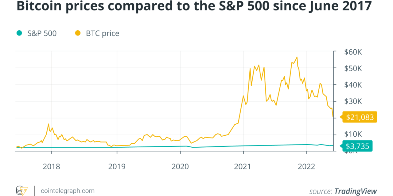 'Buy Bitcoin, plant a tree, lower your time preference': a Sequoia story